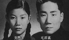 毛岸英电视剧,红色青春的传奇岁月