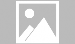 拥抱春天的罗曼史动漫,动漫中的浪漫邂逅与青春旋律